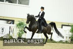 24BUCK_08538 thumbnail
