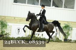 24BUCK_08539 thumbnail