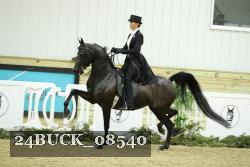 24BUCK_08540 thumbnail