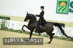 24BUCK_08541 thumbnail