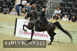 24BUCK_08545 thumbnail