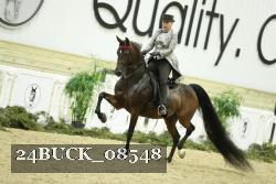 24BUCK_08548 thumbnail