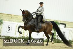 24BUCK_08549 thumbnail