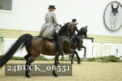 24BUCK_08551 thumbnail