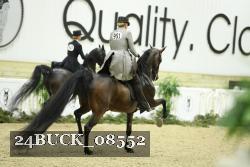24BUCK_08552 thumbnail