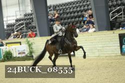 24BUCK_08555 thumbnail