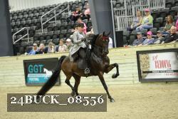 24BUCK_08556 thumbnail