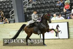 24BUCK_08558 thumbnail