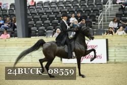 24BUCK_08559 thumbnail