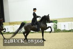 24BUCK_08560 thumbnail