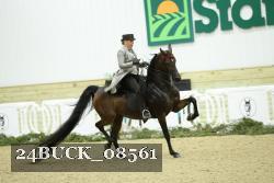 24BUCK_08561 thumbnail
