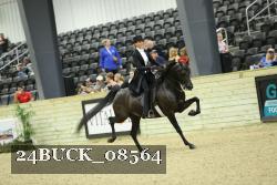 24BUCK_08564 thumbnail