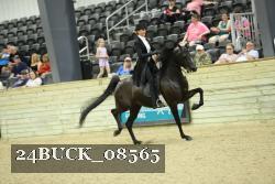24BUCK_08565 thumbnail
