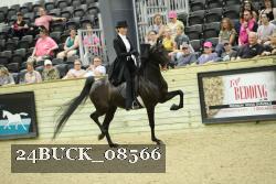 24BUCK_08566 thumbnail