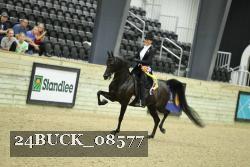 24BUCK_08577 thumbnail