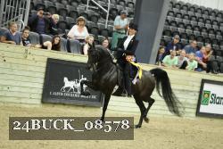 24BUCK_08578 thumbnail