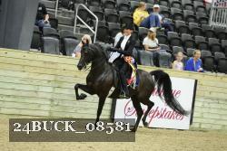 24BUCK_08581 thumbnail