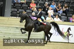 24BUCK_08583 thumbnail