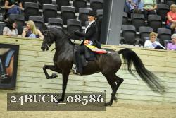 24BUCK_08586 thumbnail