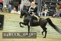 24BUCK_08587 thumbnail
