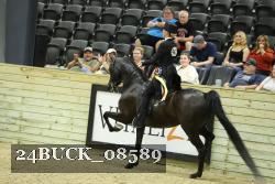 24BUCK_08589 thumbnail