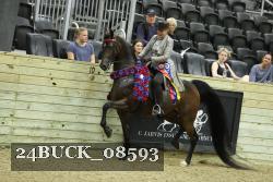 24BUCK_08593 thumbnail