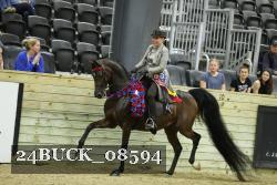 24BUCK_08594 thumbnail