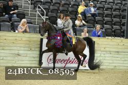 24BUCK_08595 thumbnail
