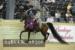 24BUCK_08596 thumbnail