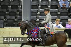 24BUCK_08600 thumbnail