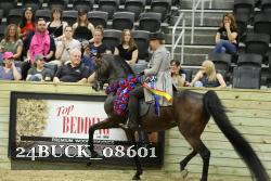 24BUCK_08601 thumbnail