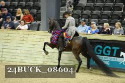 24BUCK_08604 thumbnail