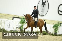 24BUCK_08608 thumbnail