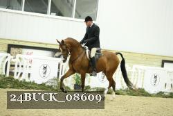 24BUCK_08609 thumbnail