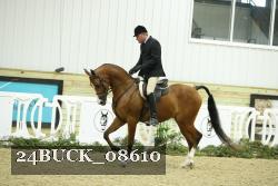 24BUCK_08610 thumbnail