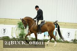 24BUCK_08611 thumbnail