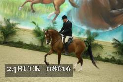 24BUCK_08616 thumbnail