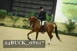24BUCK_08617 thumbnail