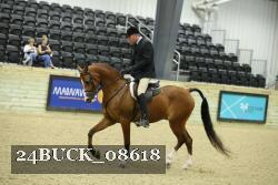 24BUCK_08618 thumbnail