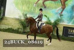 24BUCK_08619 thumbnail