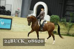 24BUCK_08620 thumbnail
