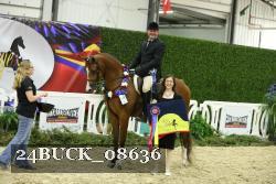 24BUCK_08636 thumbnail