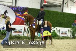 24BUCK_08638 thumbnail