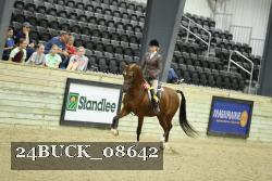 24BUCK_08642 thumbnail