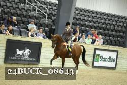 24BUCK_08643 thumbnail