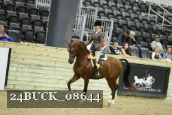 24BUCK_08644 thumbnail
