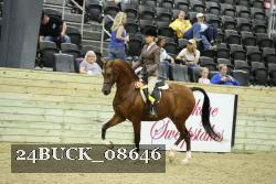 24BUCK_08646 thumbnail