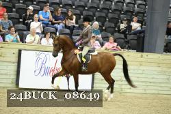 24BUCK_08649 thumbnail