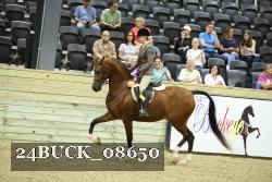 24BUCK_08650 thumbnail