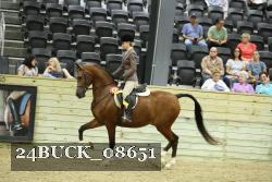 24BUCK_08651 thumbnail